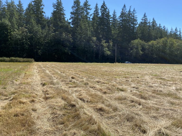 An open field on farmland