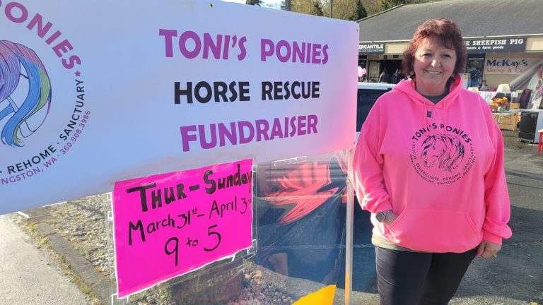 Toni Houck of Toni's Ponies