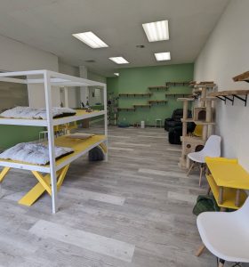 Photo courtesy of Ziggy's Cat Lounge The interior of Ziggy's Cat Lounge in Bremerton