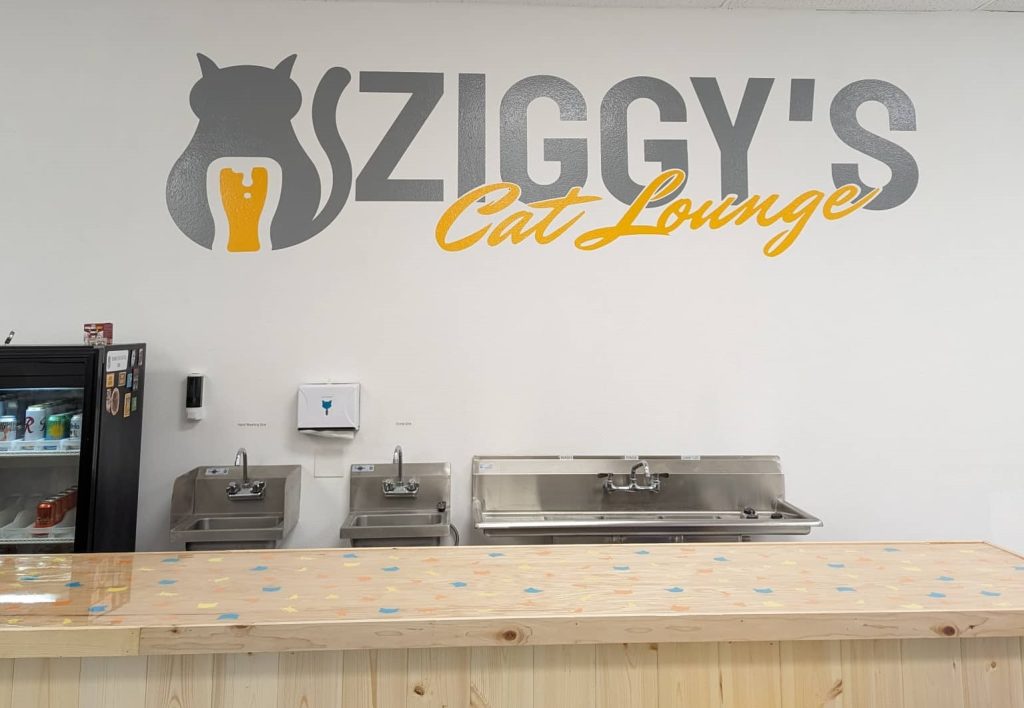 Ziggy's Cat Lounge opening in Bremerton