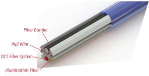 Endoscope device being developed by Bainbridge Island-based company Glannaventa and the University of Arizona (Image courtesy of University of Arizona, BIO5 Institute, Courtesy of Professor Jennifer Barton)